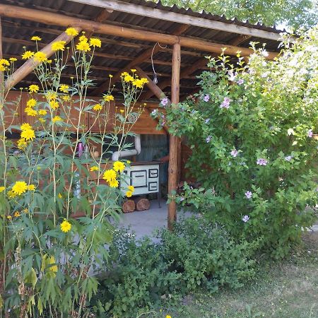 Apartamento Életvirág Vendéglak Egerszalók Exterior foto