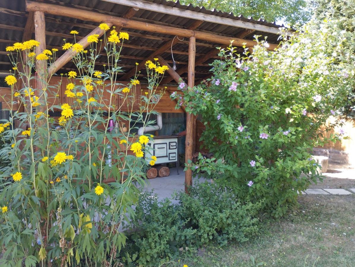 Apartamento Életvirág Vendéglak Egerszalók Exterior foto
